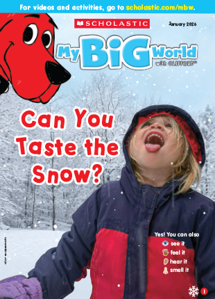 Can You Taste the Snow? - January 2026