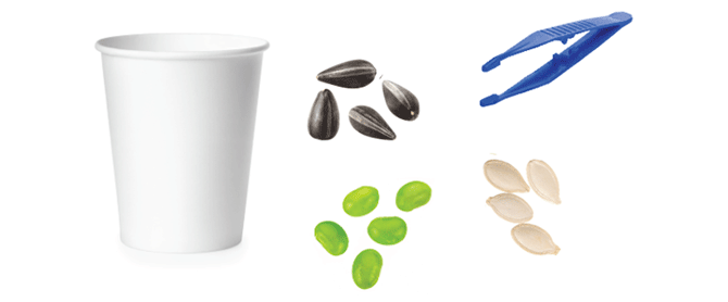 A paper cup, seeds, and a pair of tweezers