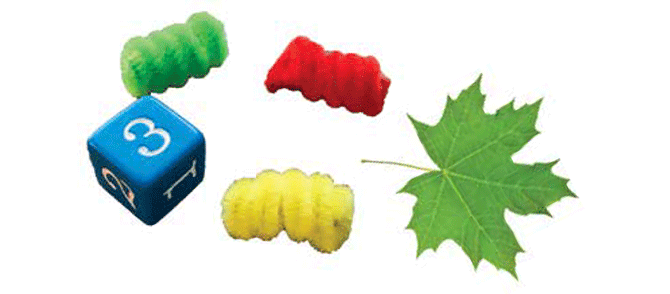 A number cube, pipe cleaners, and a leaf