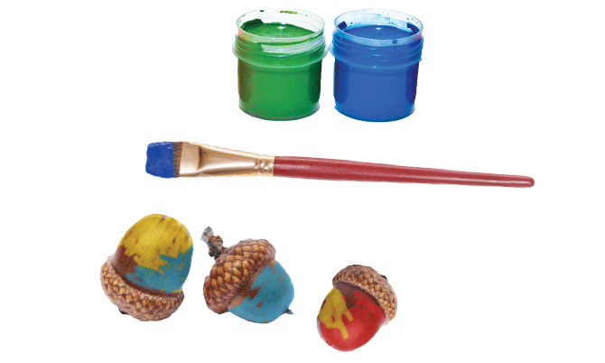 Example of painted acorns