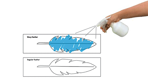 Example of a finished paper feather being sprayed with water