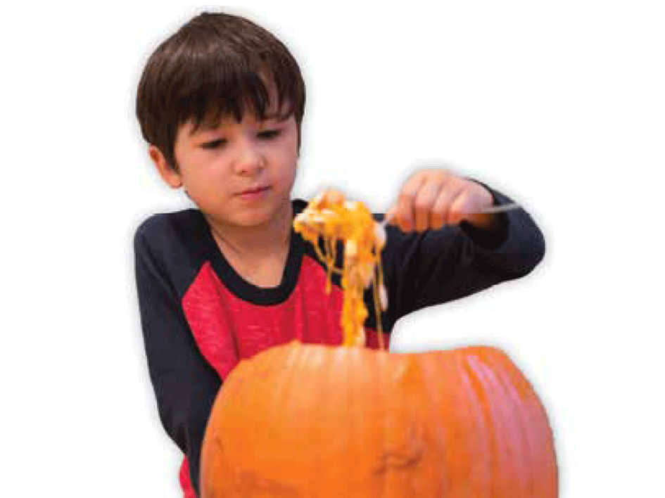 A boy scooping pumpkin seeds out of a pumpkin