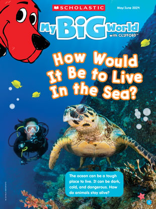 How Would It Be to Live in the Sea? - May / June 2024